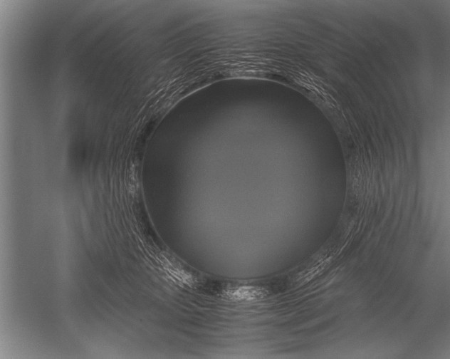 X0000051240467200507082129