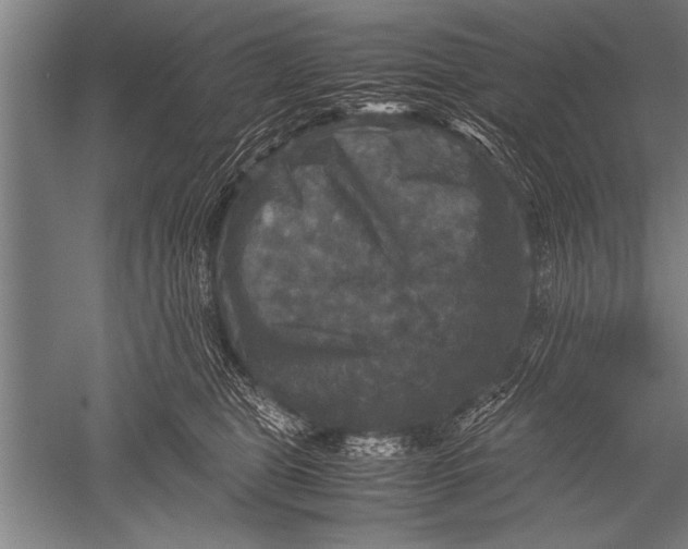 X0000051240469200507082129