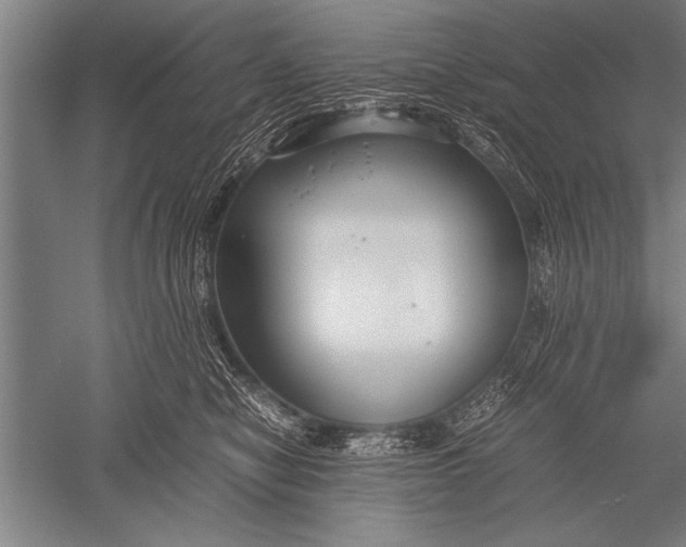 X0000051240470200507082129