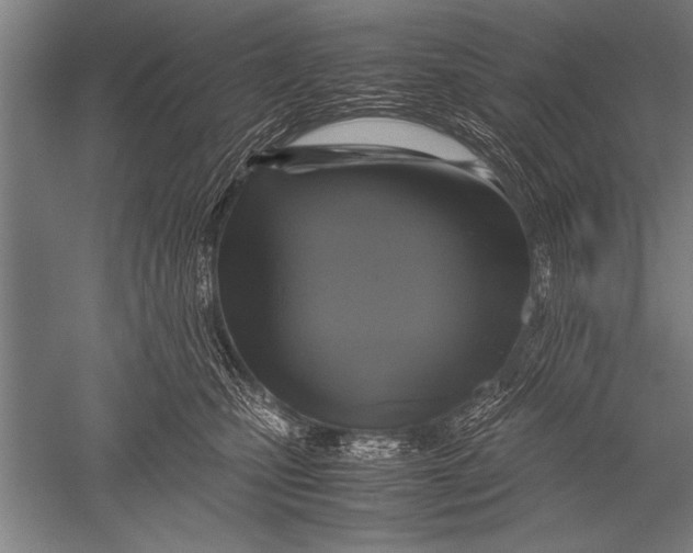 X0000051240471200507082129