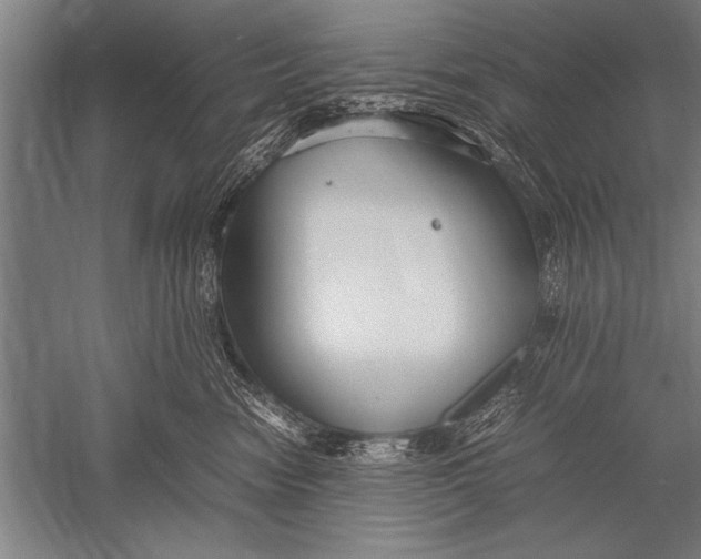 X0000051240474200507082129