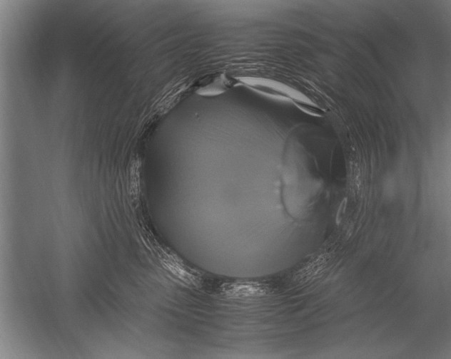 X0000051240475200507082129