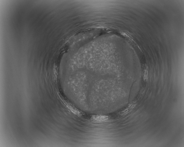 X0000051240476200507082129