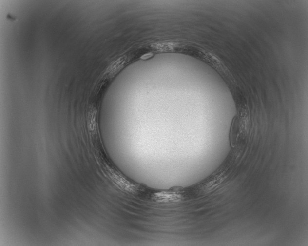 X0000051240477200507082129