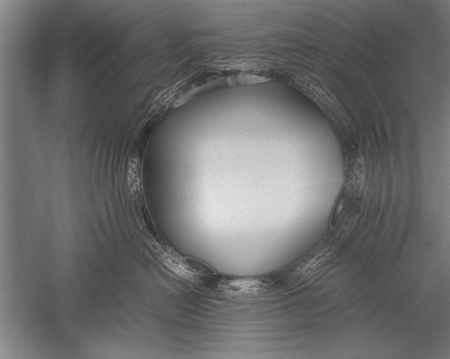 X0000051240478200507082129