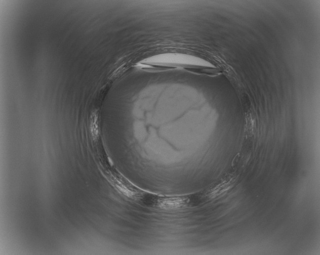 X0000051240479200507082129