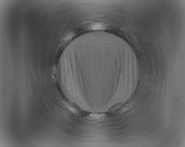 X0000051240480200507082129