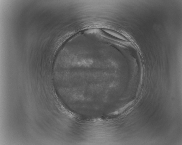 X0000051240481200507082128