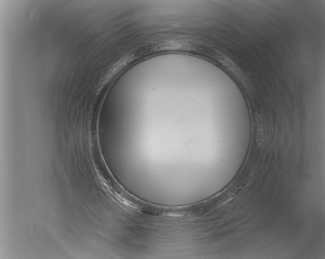 X0000051240482200507082128