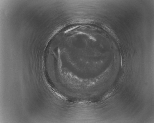 X0000051240483200507082128