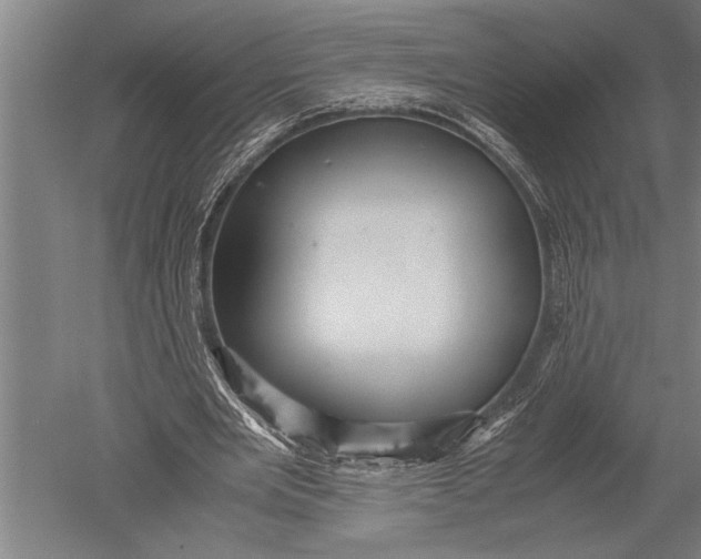 X0000051240485200507082128