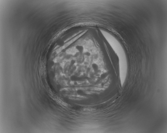 X0000051240487200507082128