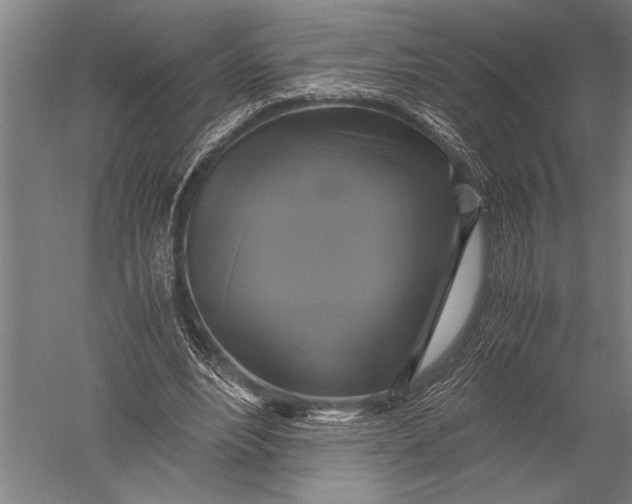 X0000051240488200507082128