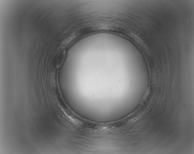 X0000051240489200507082128