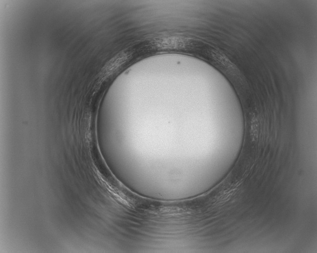 X0000051240490200507082128