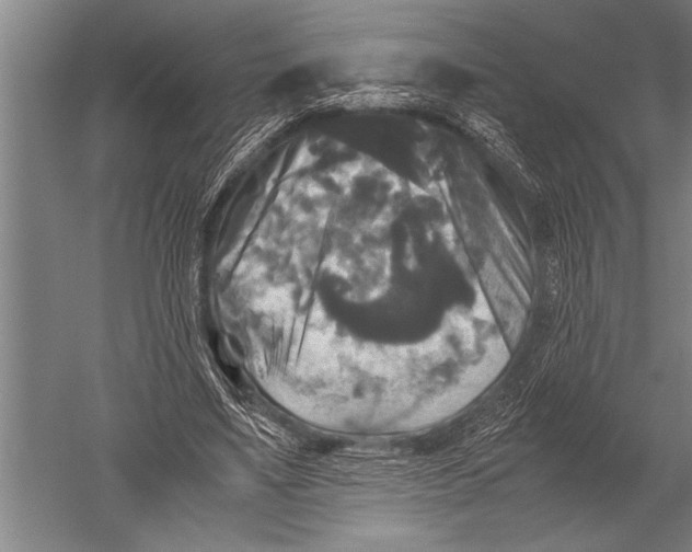 X0000051240491200507082128