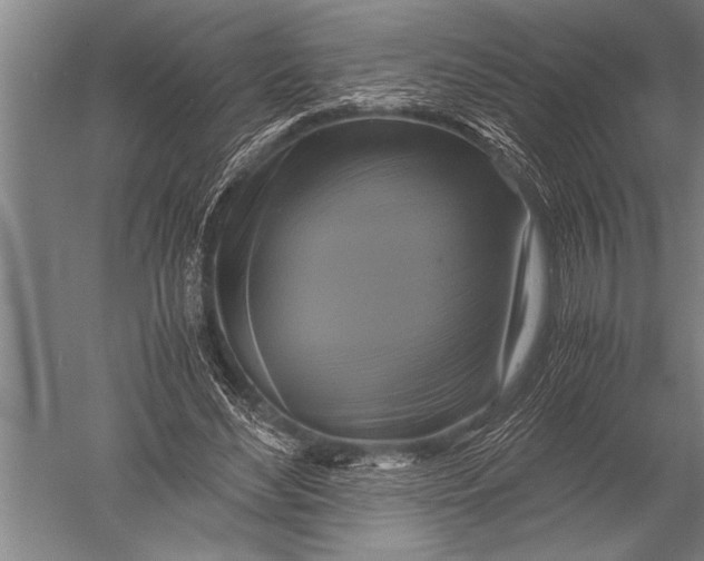 X0000051240492200507082128