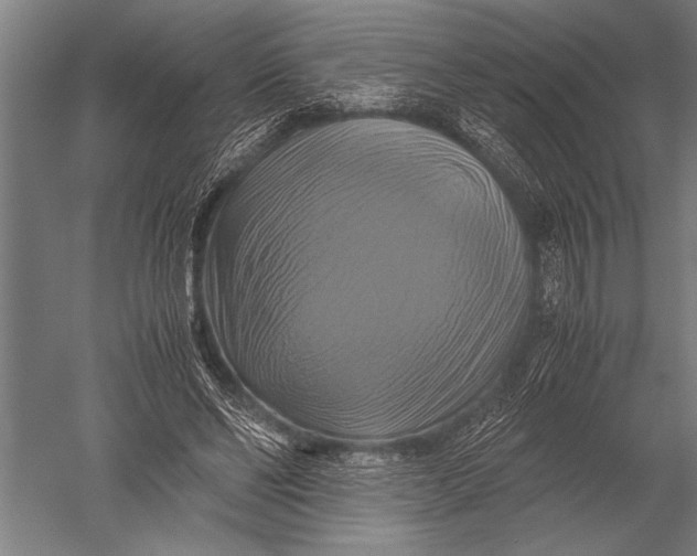 X0000051240494200507082128