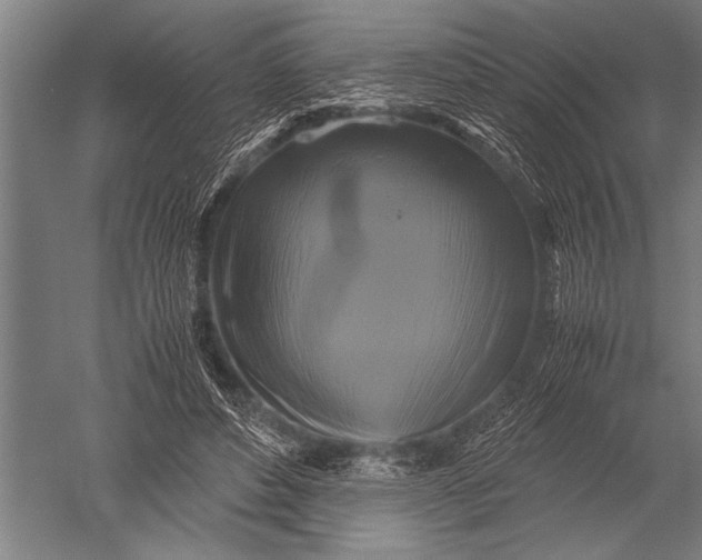 X0000051240496200507082128