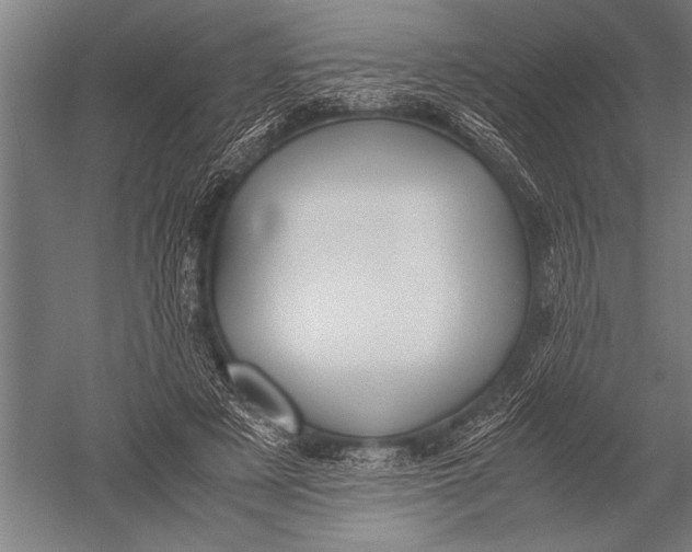 X0000051240497200507082128