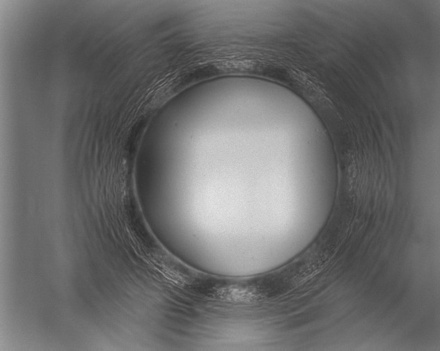 X0000051240498200507082128