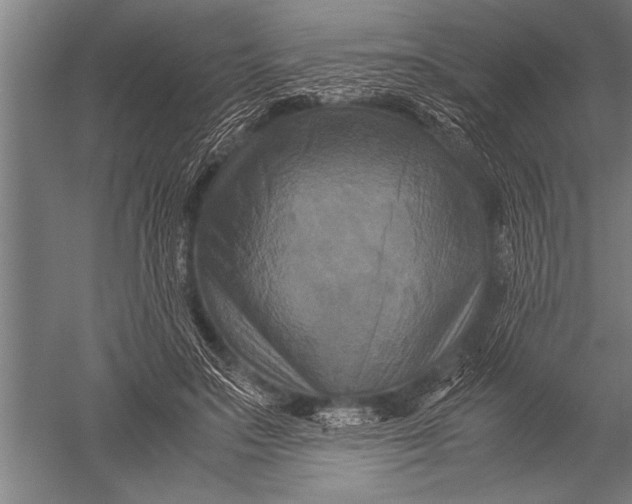 X0000051240499200507082128