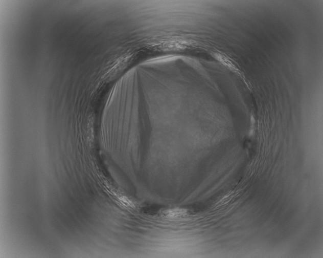 X0000051240501200507082128