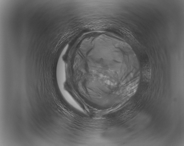 X0000051240503200507082128