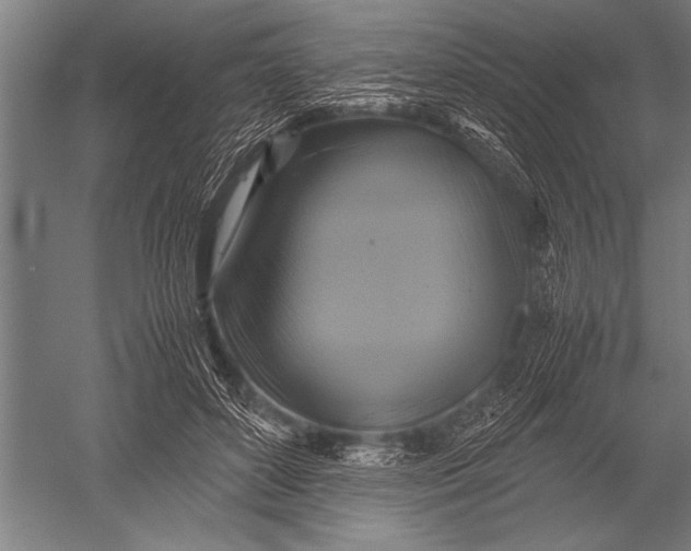 X0000051240504200507082128