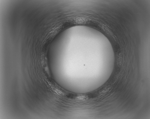 X0000051240505200507082128