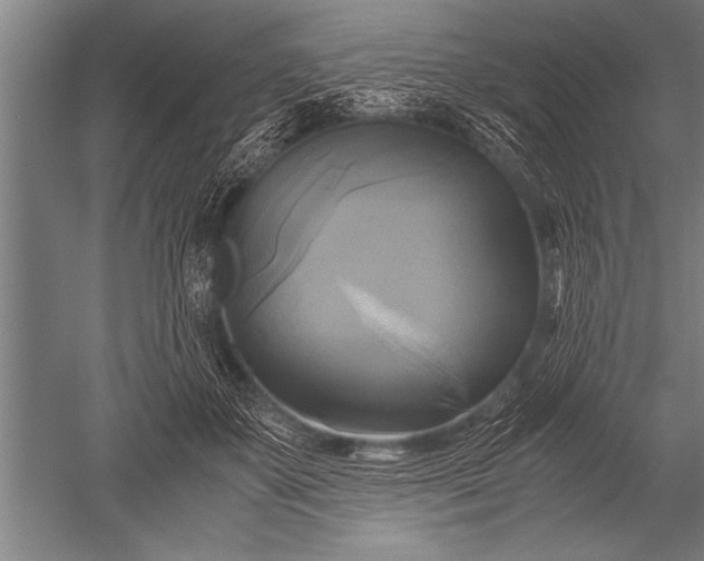 X0000051240507200507082128