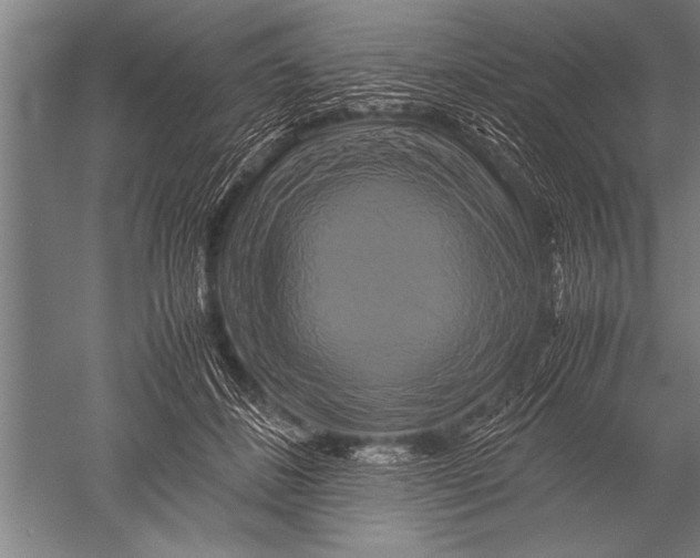 X0000051240508200507082128