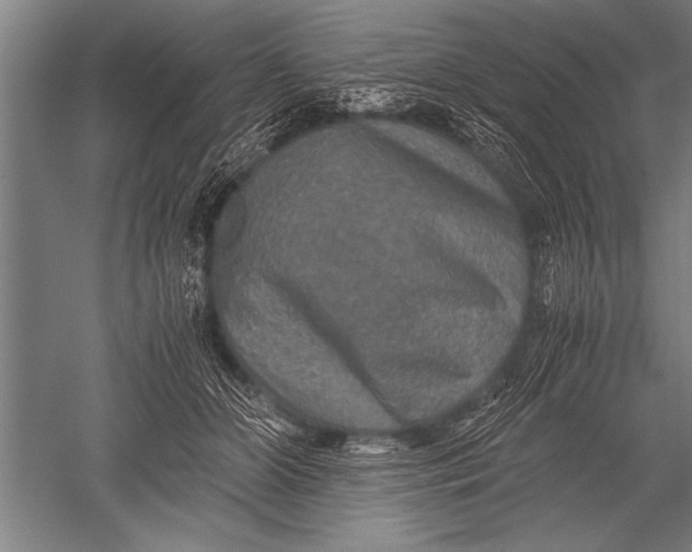 X0000051240510200507082128