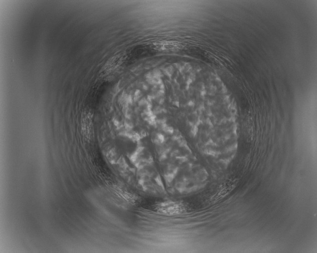 X0000051240511200507082128