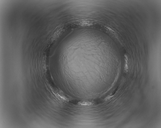 X0000051240512200507082128