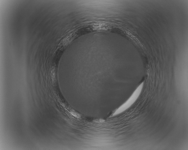 X0000051240513200507082127