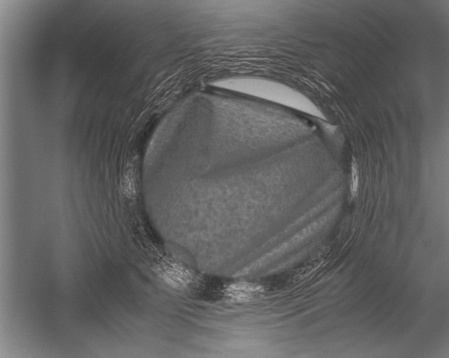 X0000051240515200507082127