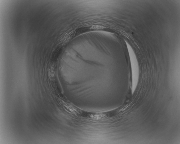 X0000051240517200507082127