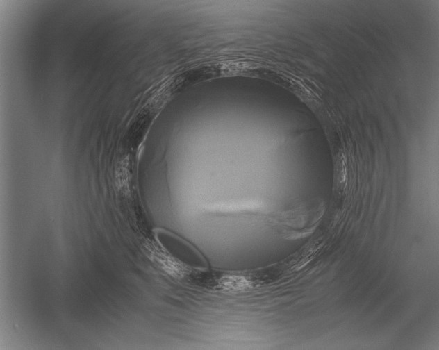 X0000051240519200507082127