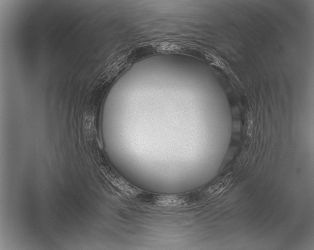 X0000051240521200507082127