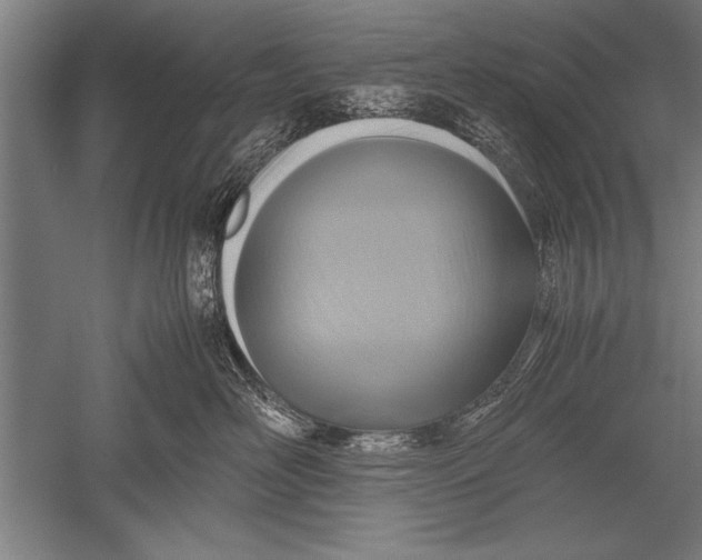 X0000051240526200507082127