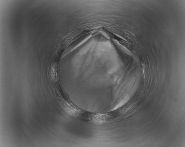 X0000051240527200507082127