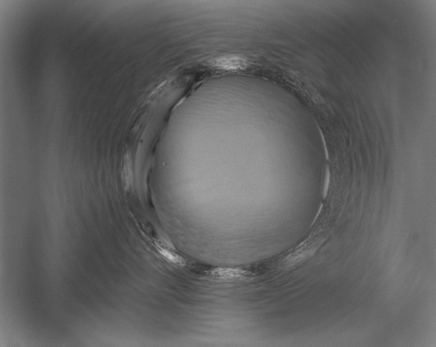 X0000051240528200507082127