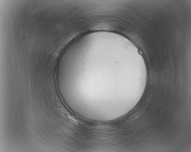 X0000051240529200507082126