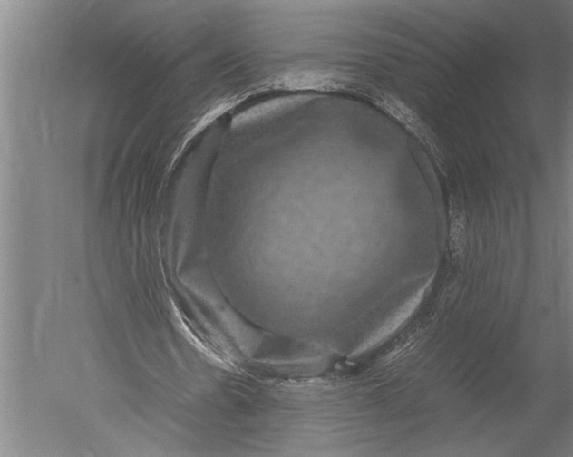 X0000051240530200507082126