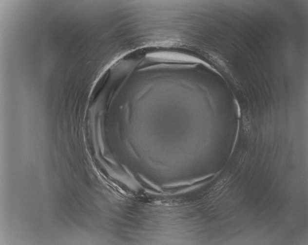 X0000051240532200507082126