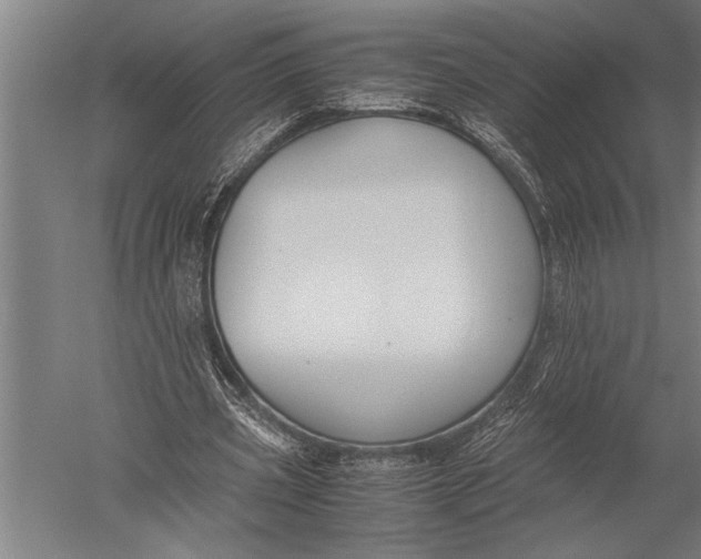 X0000051240533200507082126