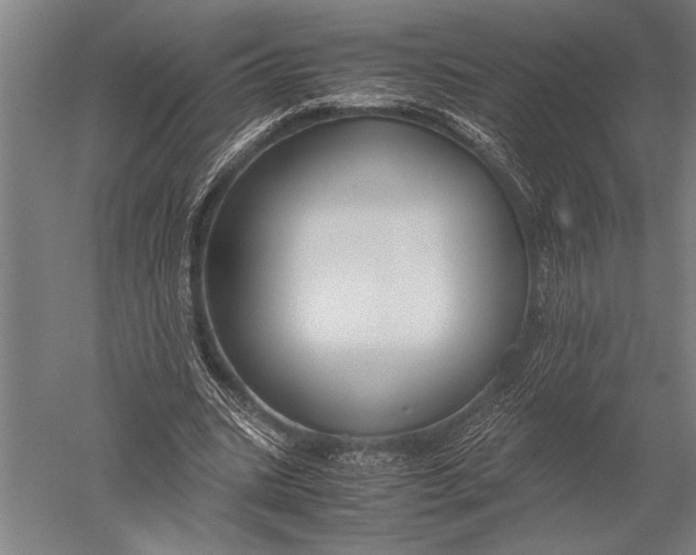 X0000051240535200507082127