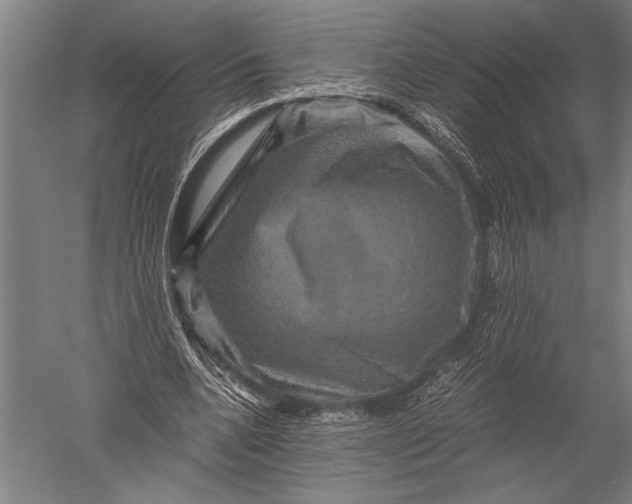 X0000051240536200507082127