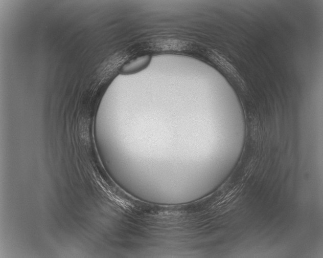 X0000051240537200507082127